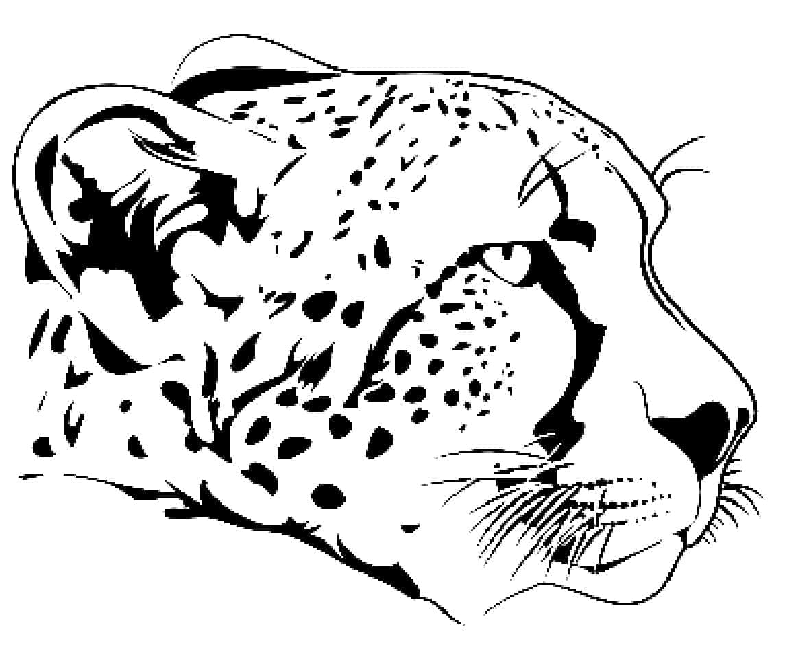 Målarbild Gepard Huvud