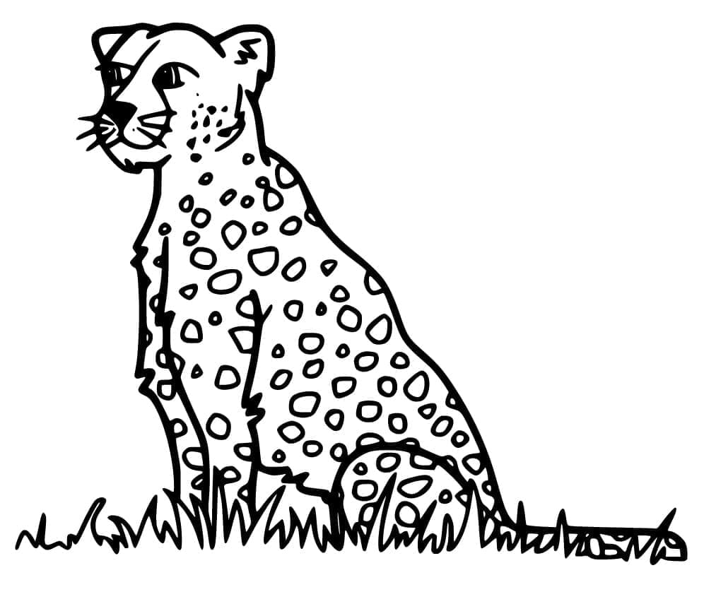 Målarbild Gepard Sitter på Gräs