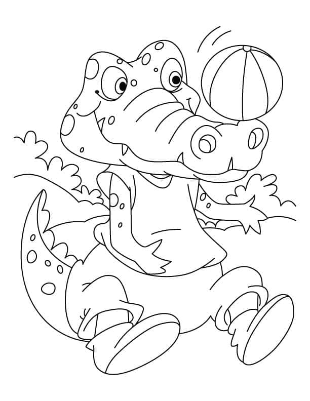 Målarbild Krokodil med en Boll