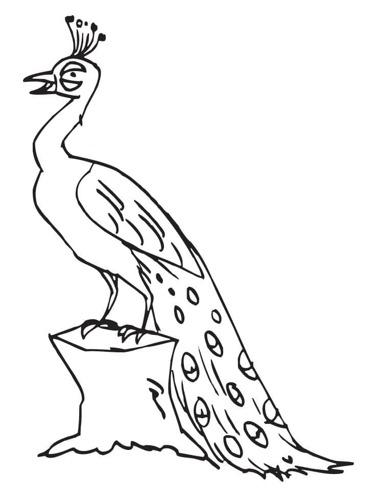 Målarbild Påfågel Uppflugen på Gren