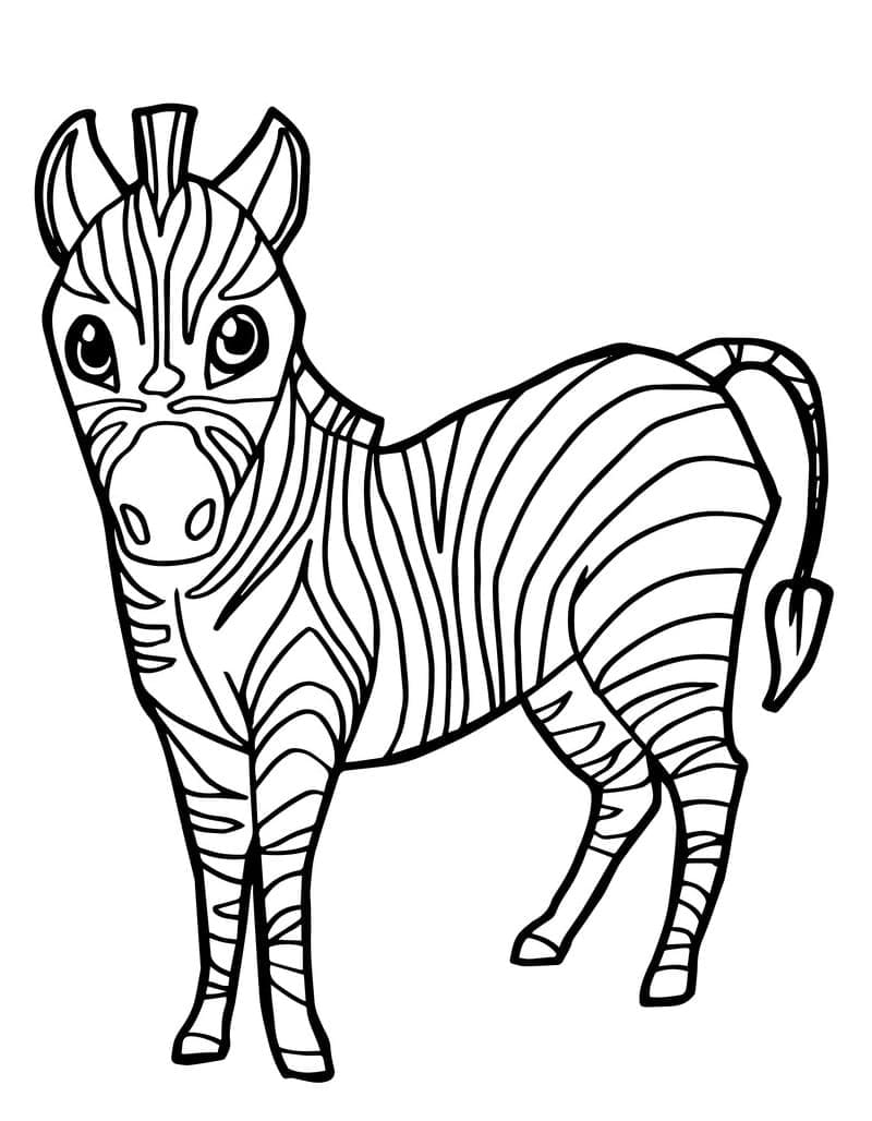 Målarbild Zebra 4