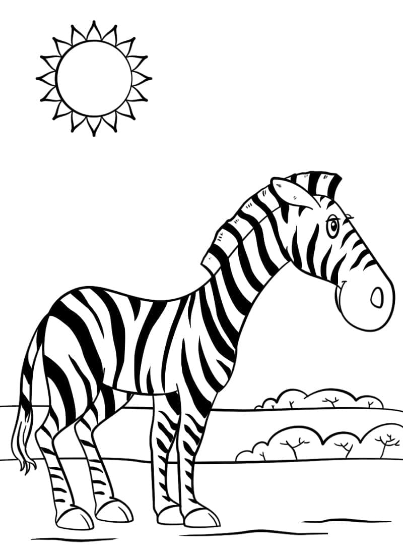Målarbild Zebra 6