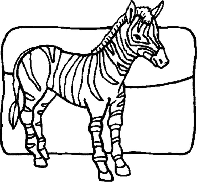Målarbild Zebra Gratis