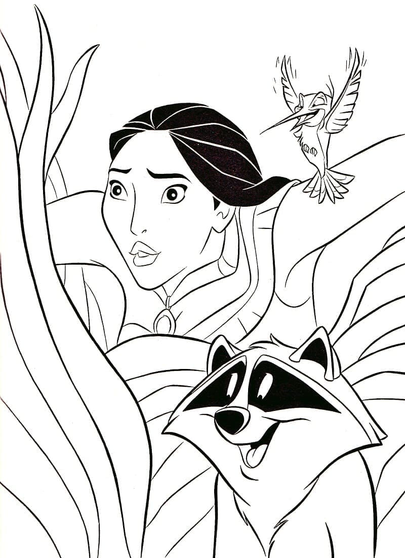 Målarbild Pocahontas, Meeko och Flit