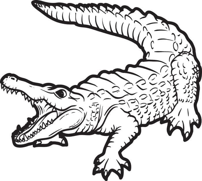 Målarbild En Alligator