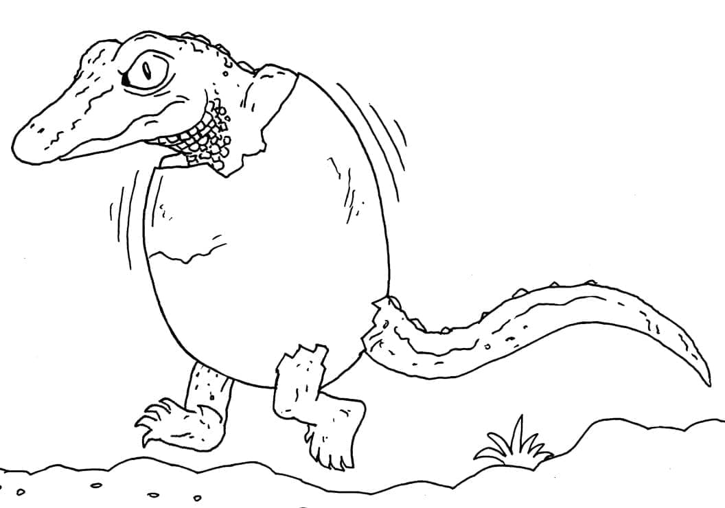 Målarbild En Rolig Alligator