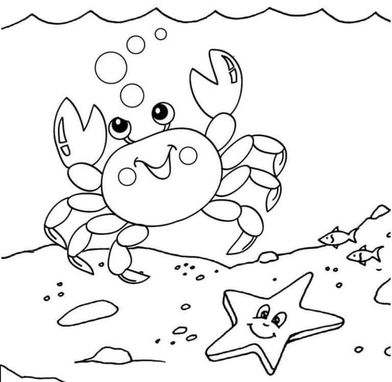 Målarbild Krabba och Sjöstjärna