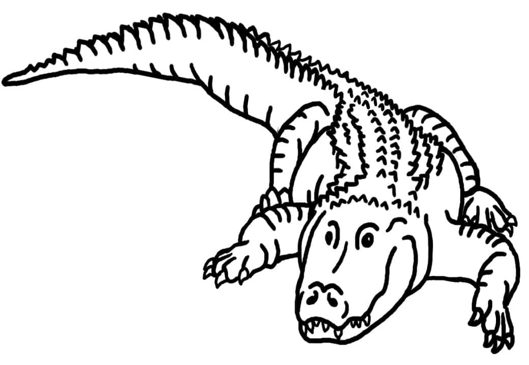 Målarbild Krypande Alligator