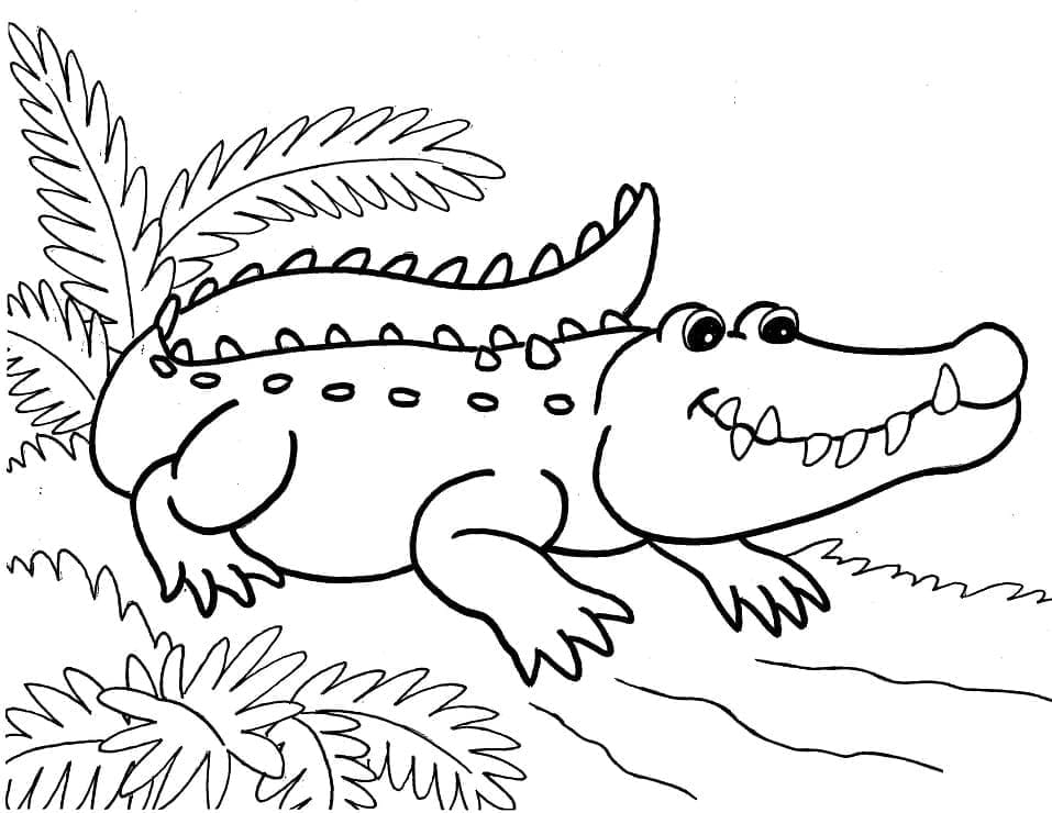 Målarbild Leende Alligator