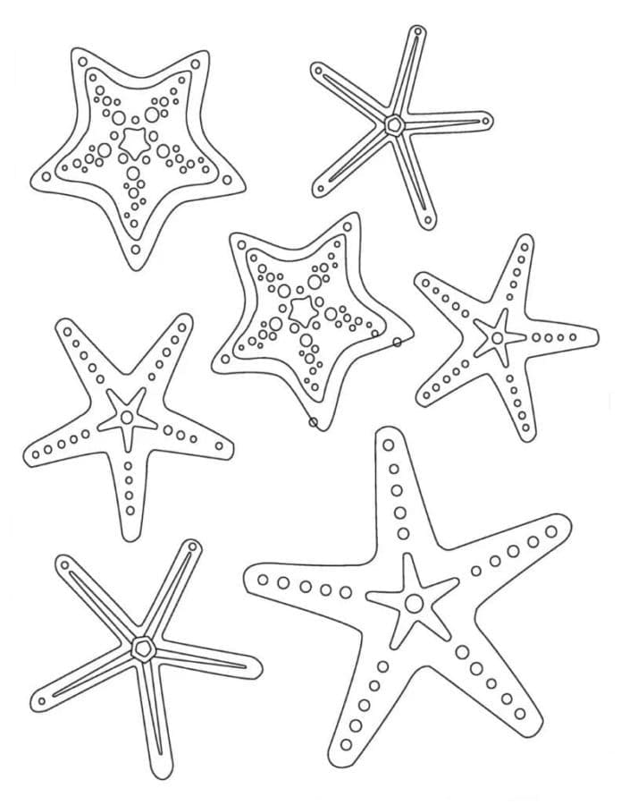Målarbild Sjöstjärnor