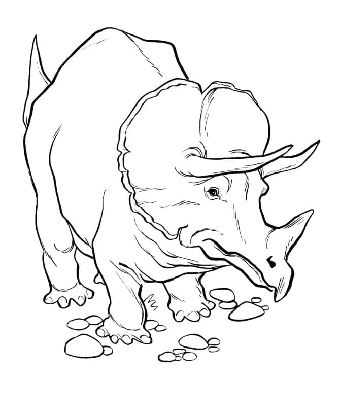Målarbild Triceratops 1