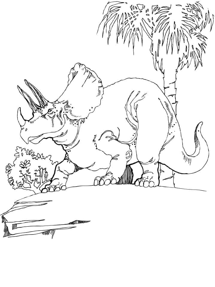 Målarbild Triceratops 3