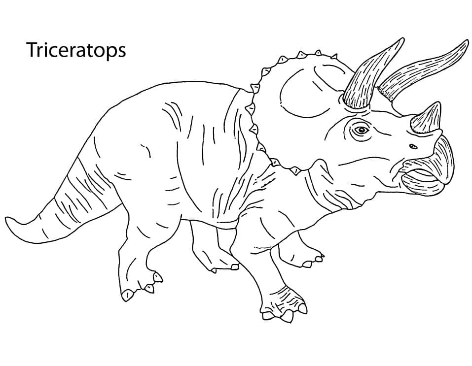 Målarbild Triceratops Gratis