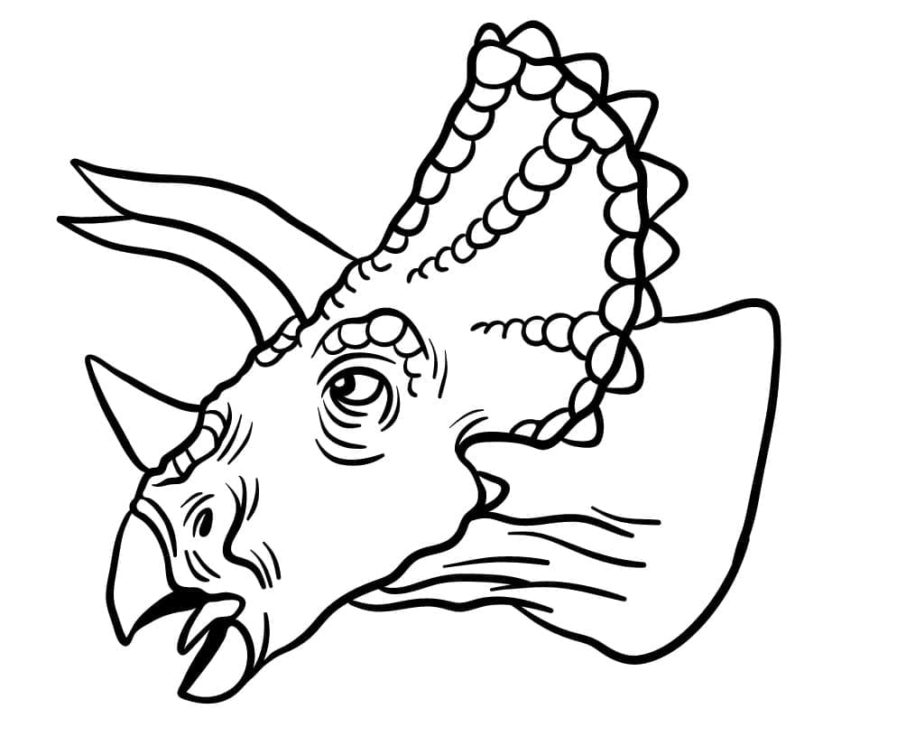 Målarbild Triceratops-huvud
