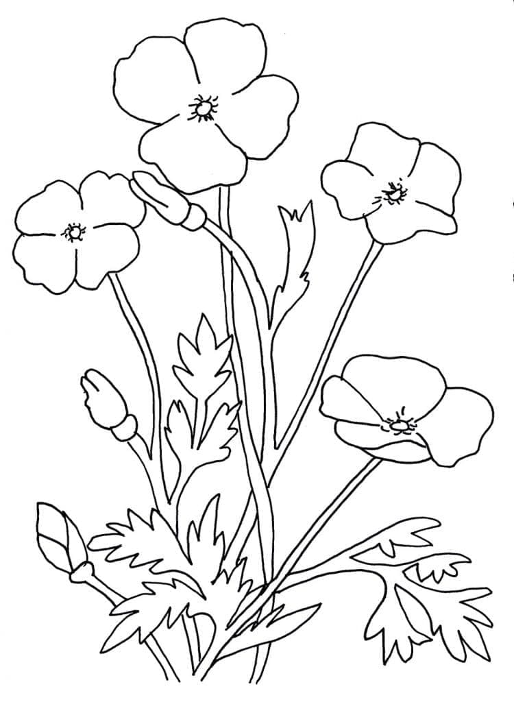 Målarbild Vallmo Blommor