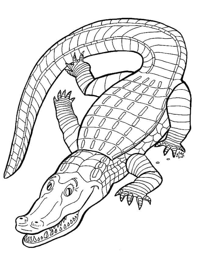 Målarbild Vanlig Alligator