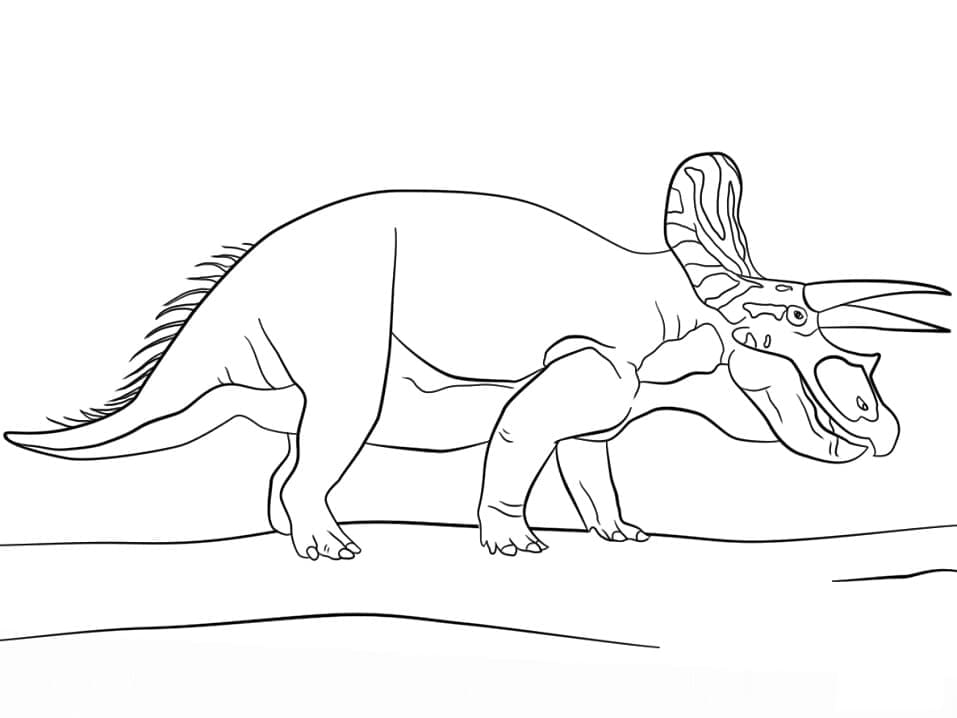 Målarbild Vanlig Triceratops