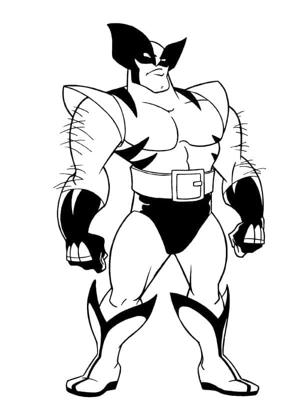 Målarbild Wolverine 1