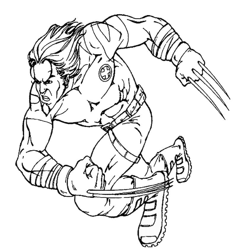 Målarbild Wolverine Gratis