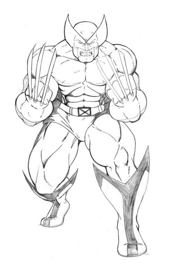 Målarbild X-Men Wolverine