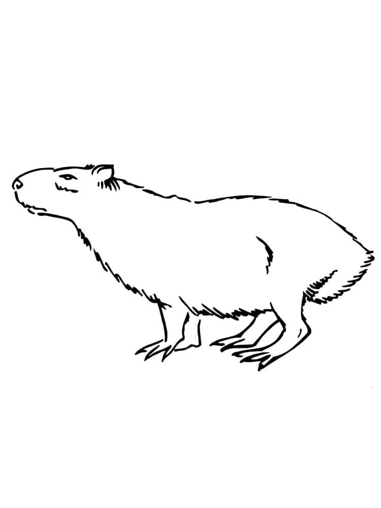 Målarbild Capybara 2