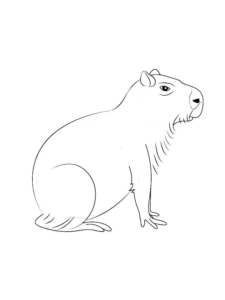 Målarbild Capybara 5
