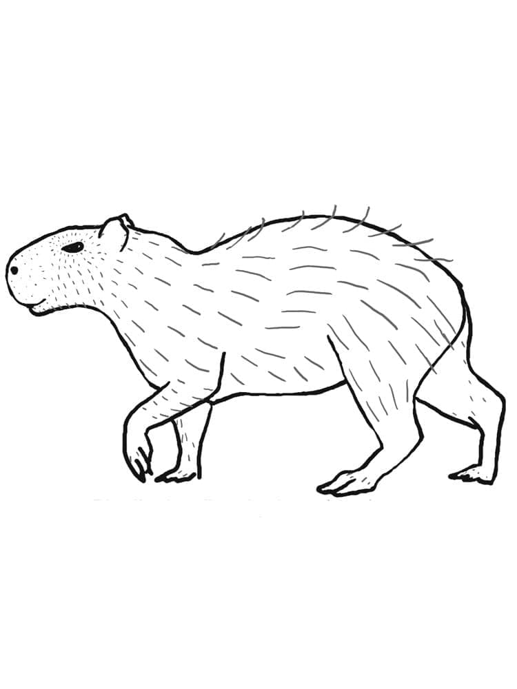 Målarbild Capybara 6