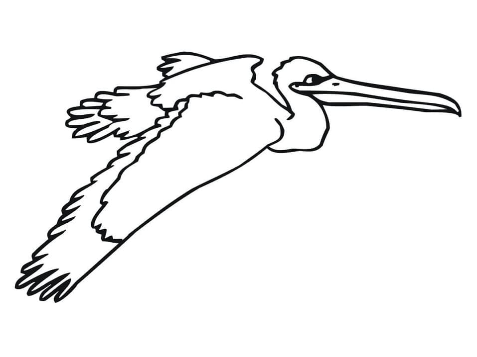 Målarbild En Flygande Pelikan