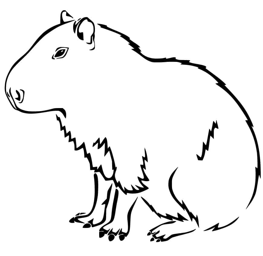 Målarbild En Kapybara