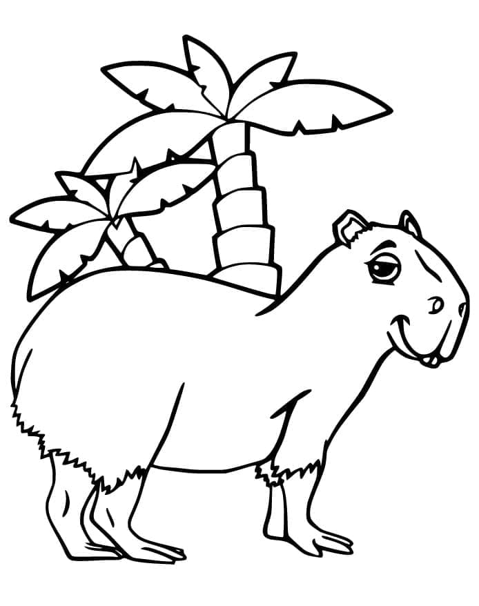 M larbilder Capybara Malarbilder se M larbilder Capybara Malarbilder se