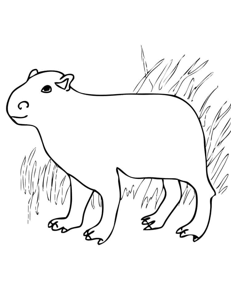Målarbild Enkel Capybara