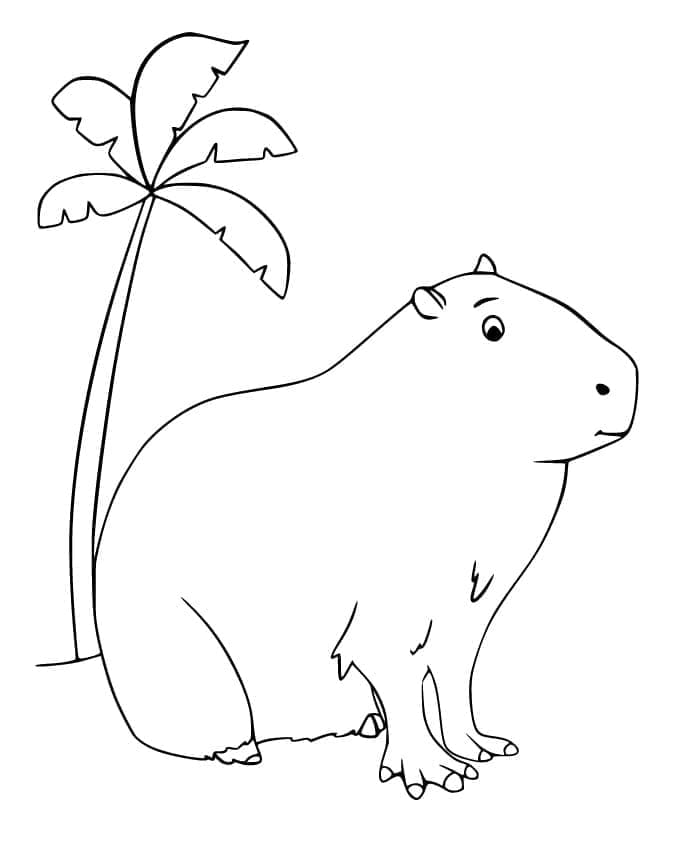 Målarbilder Capybara