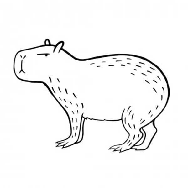 Målarbild Grinig Capybara