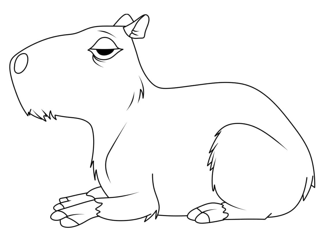 Målarbild Lat Kapybara