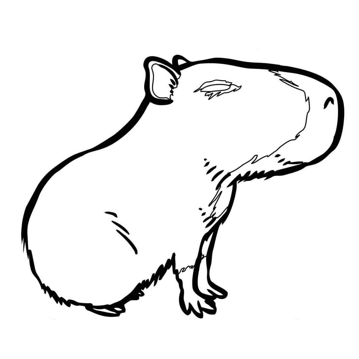 Målarbild Lilla Kapybara