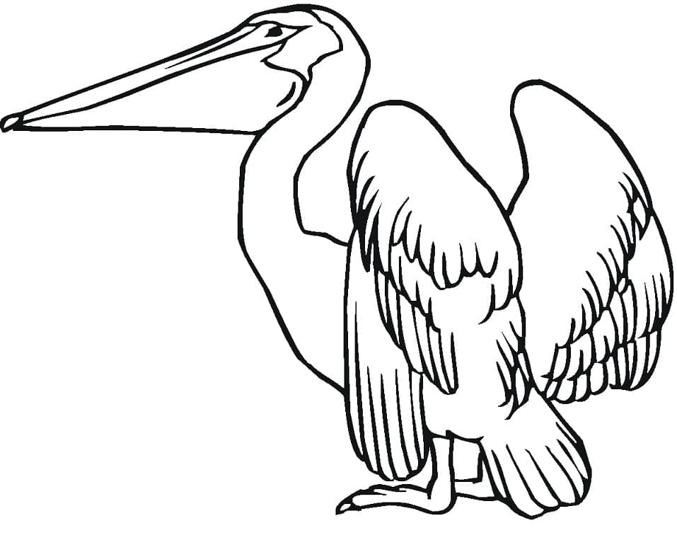 Målarbild Pelikan 1
