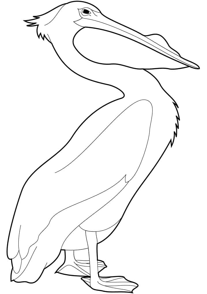 Målarbild Pelikan 2