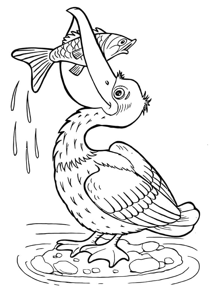 Målarbild Pelikan Fångar en Fisk