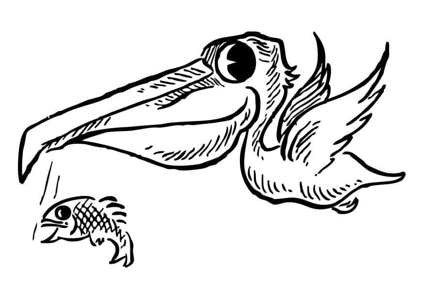 Målarbild Söt Pelikan
