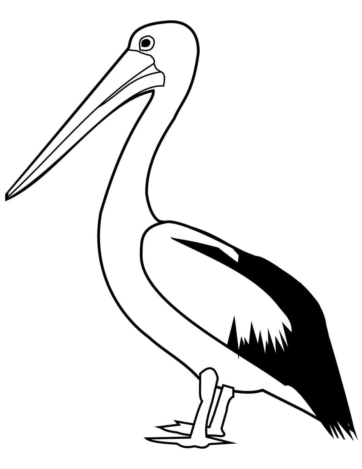 Målarbild Ståtlig Pelikan