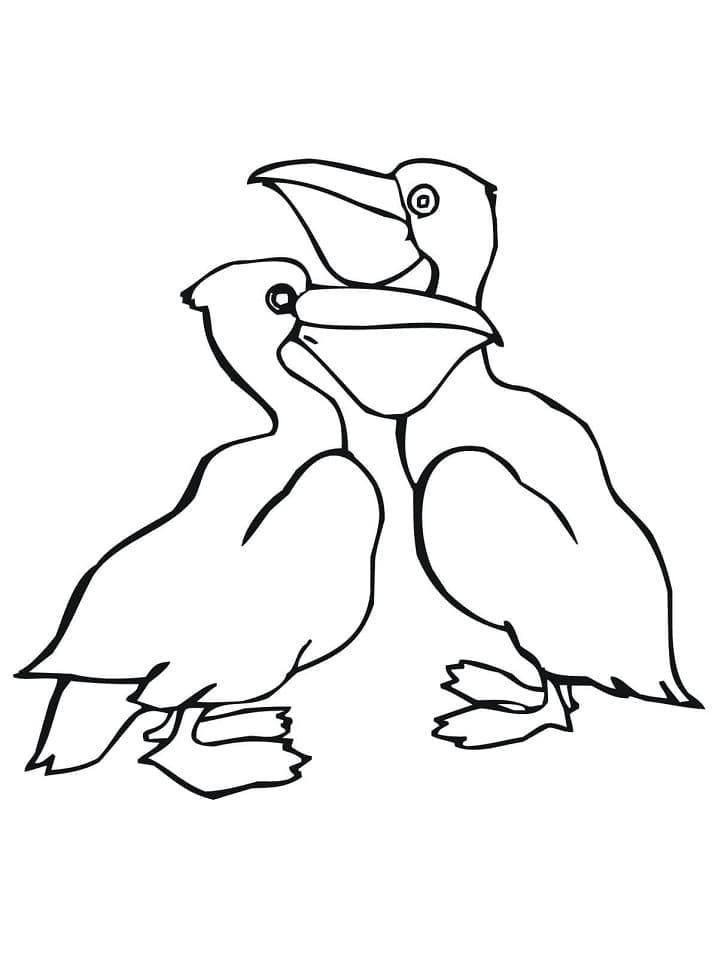 Målarbild Två Pelikaner