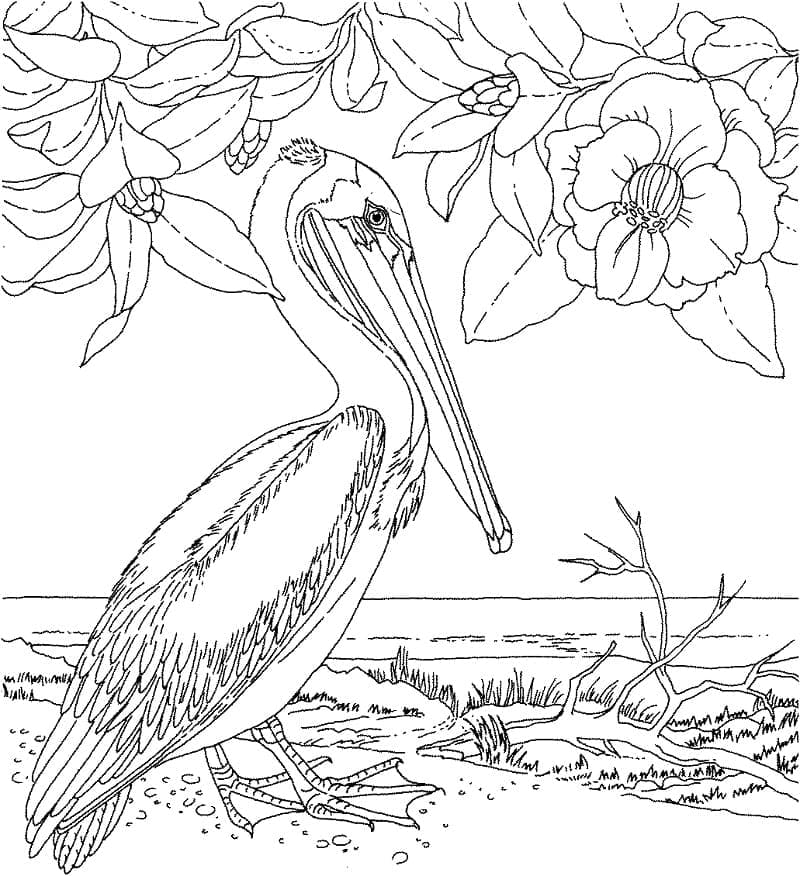 Målarbild Vacker Pelikan