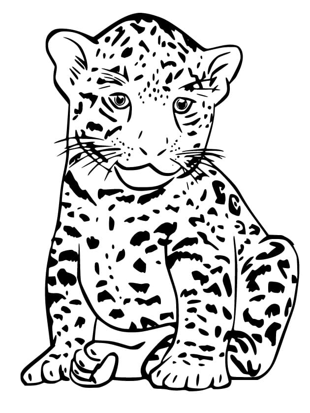 Målarbild Baby Jaguar