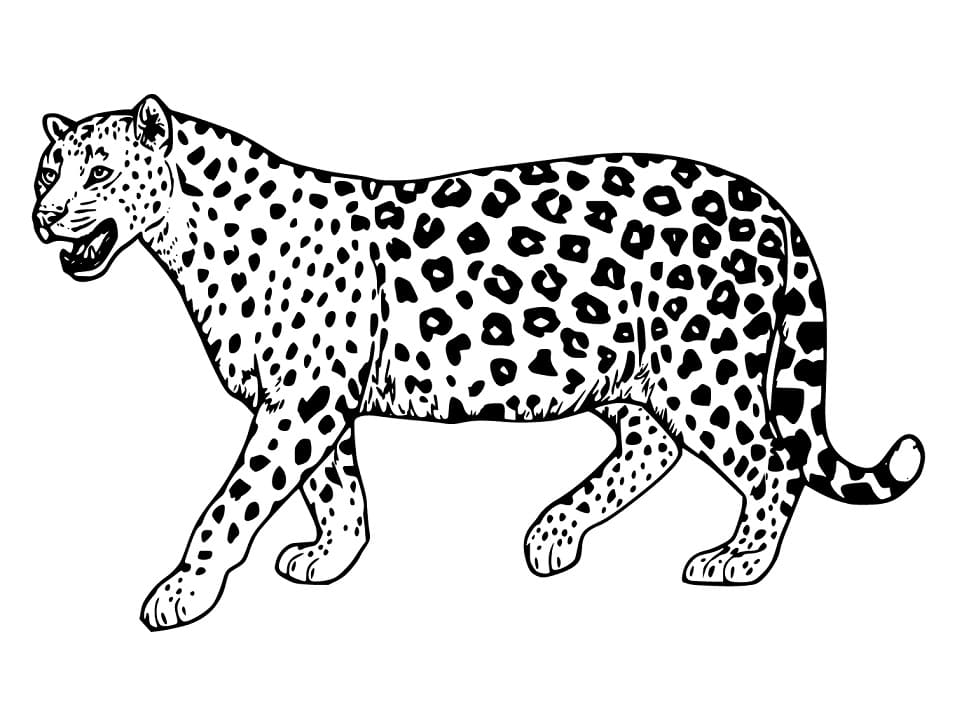 Målarbild En Jaguar