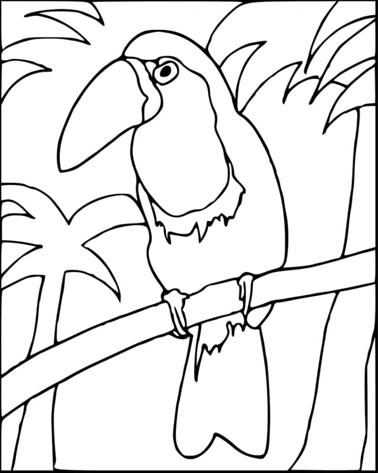 Målarbild En Tukanfågel