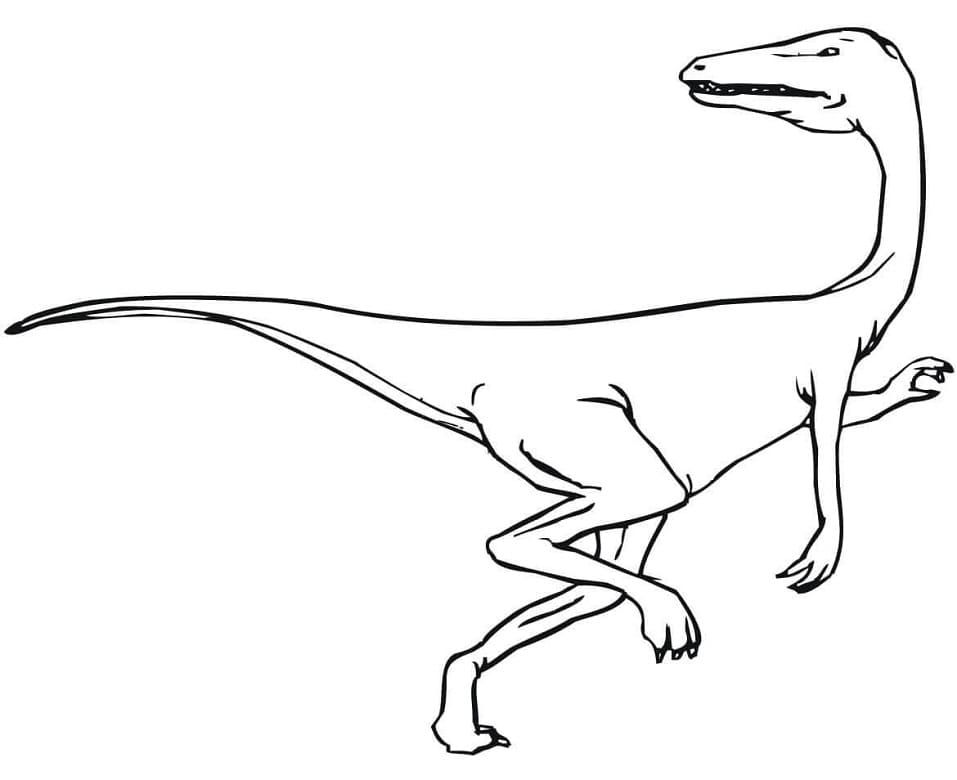 Målarbild En Velociraptor