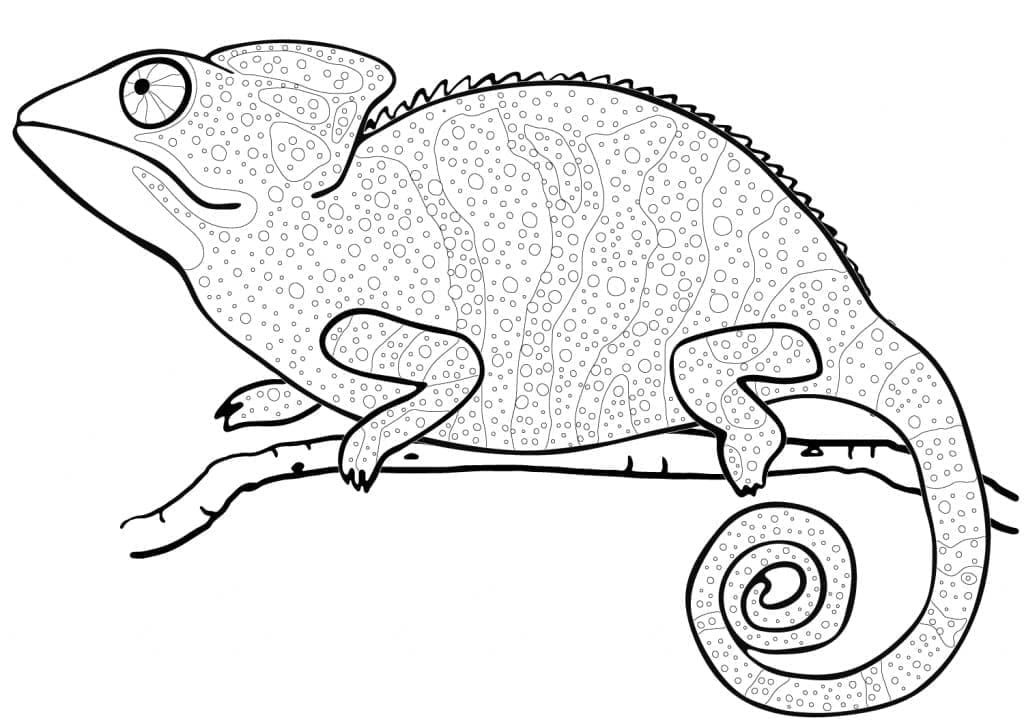 Målarbild Fin Kameleont