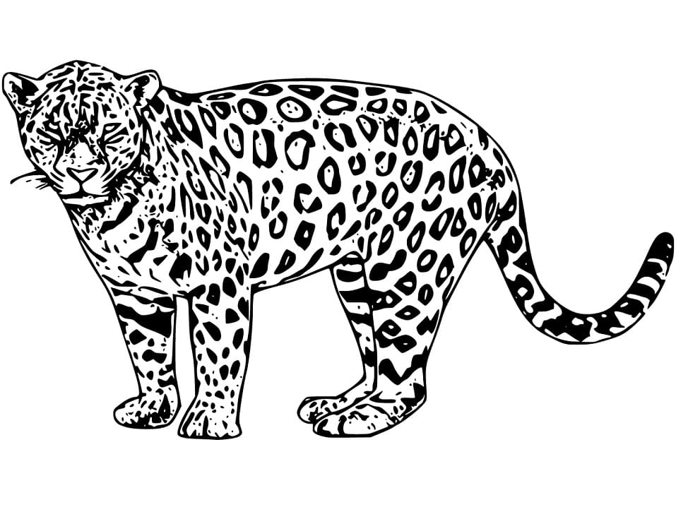 Målarbild Jaguar 2