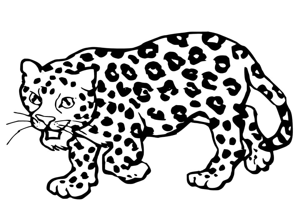 Målarbild Jaguar Gratis för Barn
