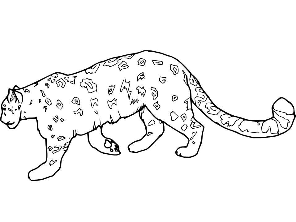 Målarbild Jaguar Gratis